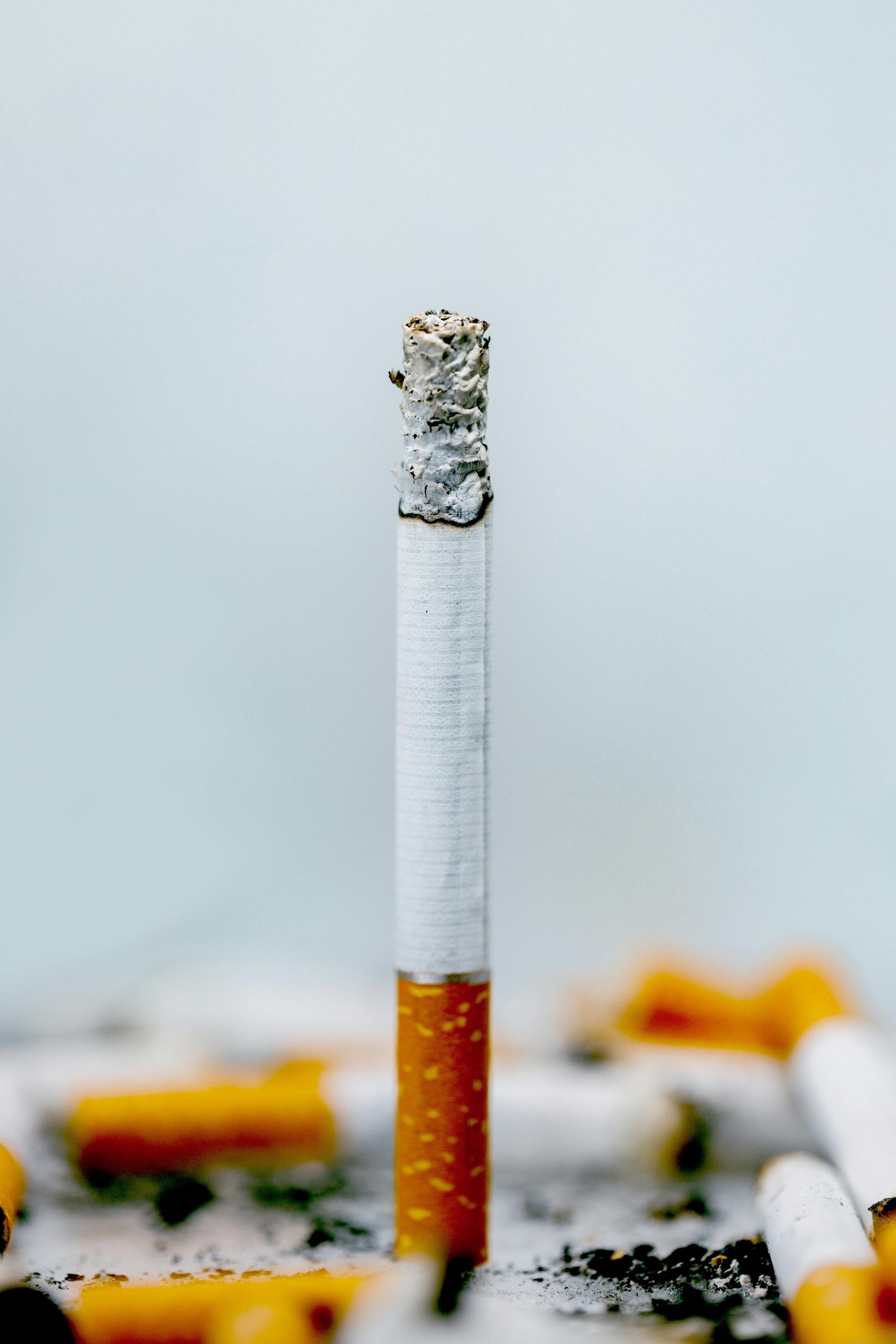 Cómo quitar el olor a tabaco de un piso - BENDIS