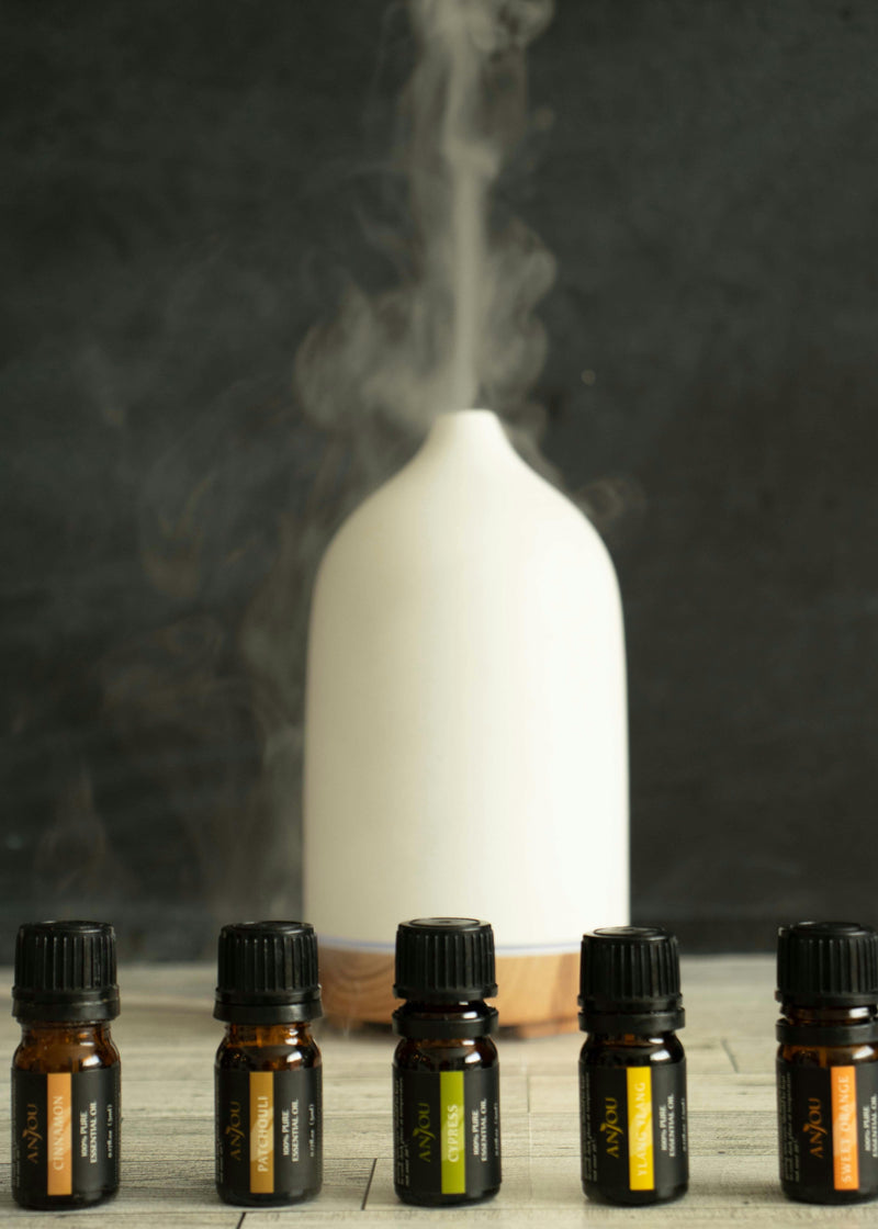 Difusor de aromas: tipos, diferencias y cuál necesitas según tu espacio - BENDIS