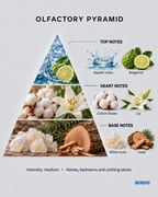 BENDIS Aqua clean laundry fragrance olfactory pyramid: top aquatic notes and bergamot, heart cotton flower and lily, base white musk and cedar