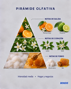 Pirámide olfativa de la fragancia BENDIS Azahar: notas de salida naranja amarga y bergamota, corazón azahar y neroli, fondo almizcle blanco y miel