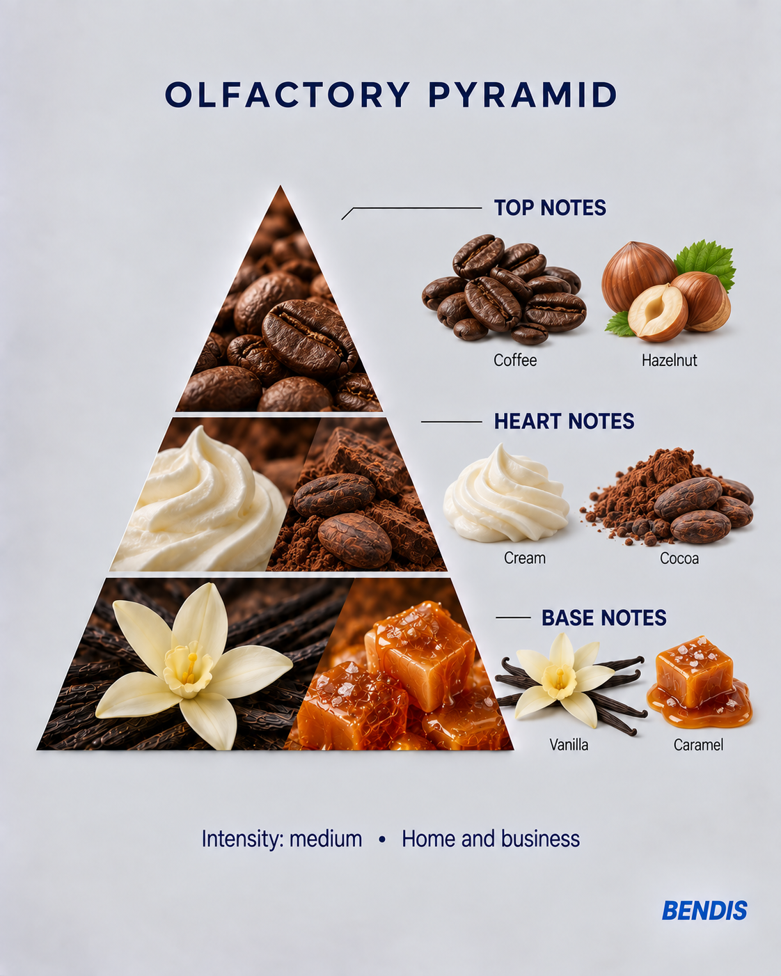 BENDIS Cappuccino fragrance olfactory pyramid: top notes coffee and hazelnut, heart notes cream and cocoa, base notes vanilla and caramel