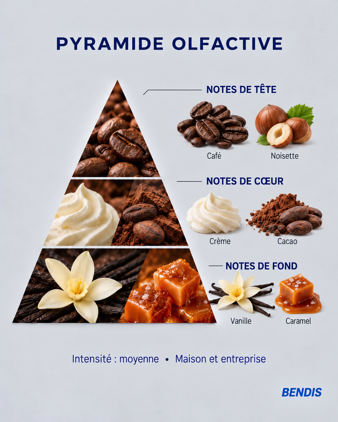 Pyramide olfactive du parfum BENDIS Cappuccino : notes de tête café et noisette, notes de cœur crème et cacao, notes de fond vanille et caramel