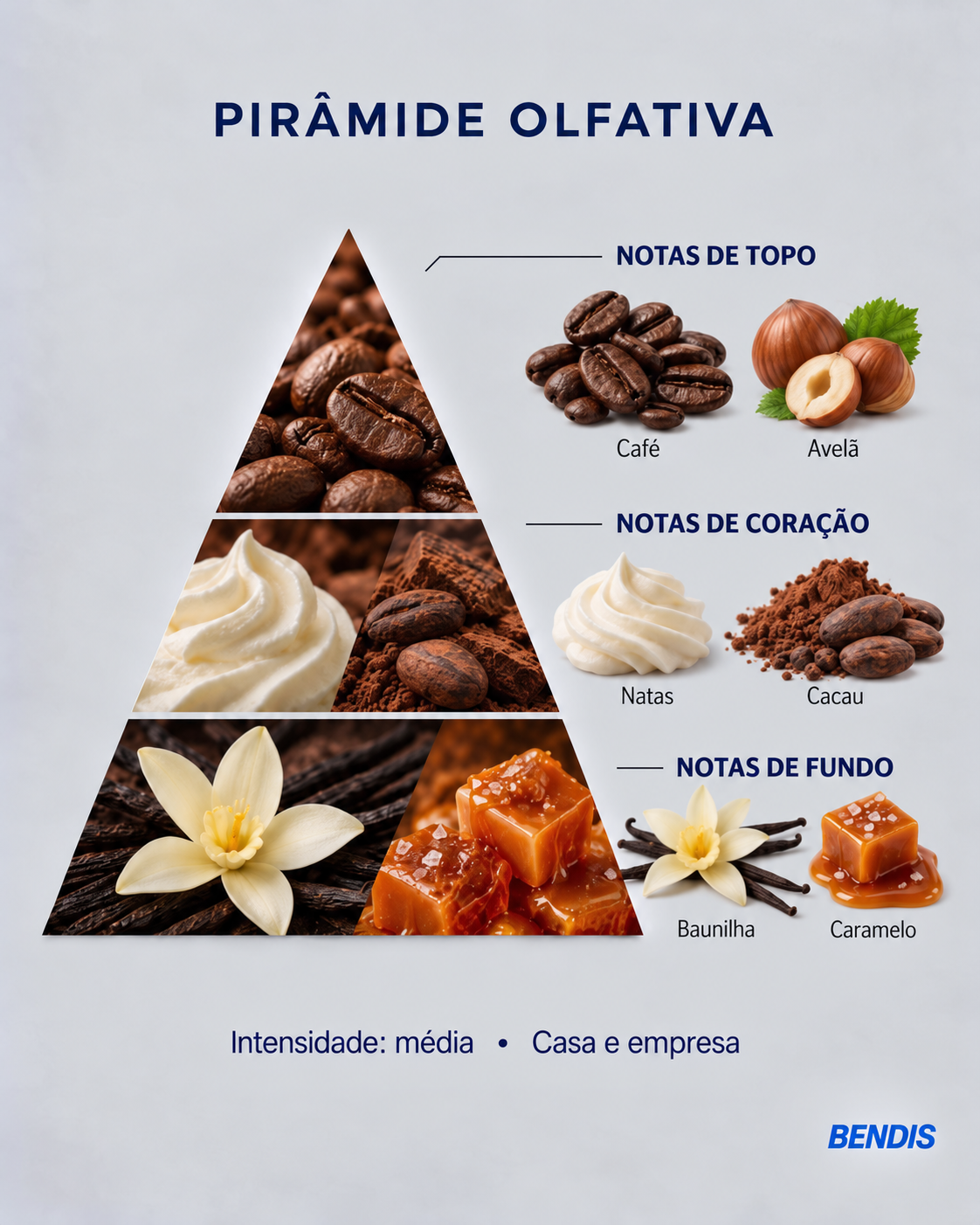Pyramide olfactive du parfum BENDIS Cappuccino : notes de tête café et noisette, notes de cœur crème et cacao, notes de fond vanille et caramel