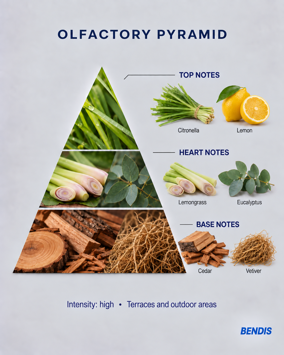 BENDIS Citronella fragrance olfactory pyramid: top notes citronella and lemon, heart notes lemongrass and eucalyptus, base notes cedar and vetiver
