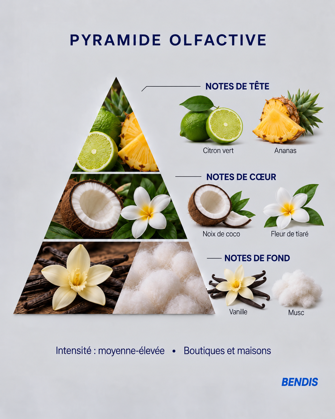 Pyramide olfactive du parfum BENDIS Coco : notes de tête citron vert et ananas, notes de cœur noix de coco et fleur de tiaré, notes de fond vanille et musc
