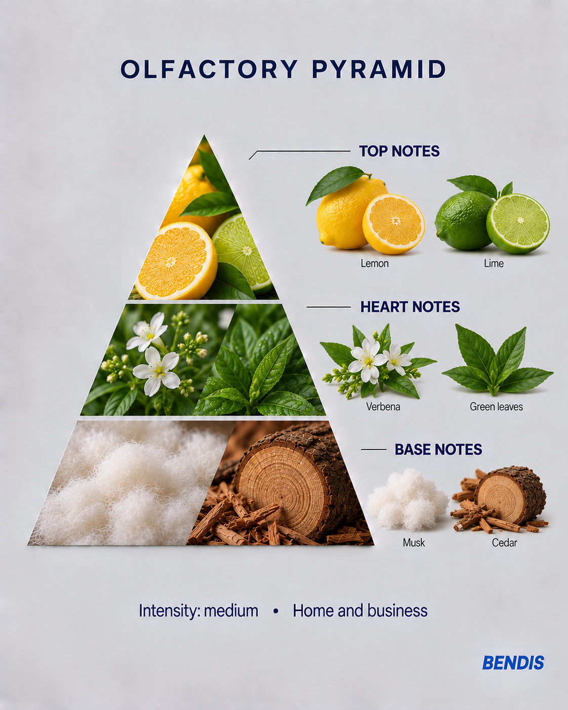 BENDIS Lemon fragrance olfactory pyramid: top notes lemon and lime, heart notes verbena and green leaves, base notes musk and cedar