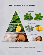 Duftpyramide des BENDIS Duftes Minze: Kopfnoten Pfefferminze und grüne Minze, Herznoten Eukalyptus und Zitrone, Basisnoten Moschus und Zeder