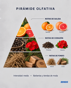 Pirámide olfativa de la fragancia BENDIS Nº10 amaderada mineral cítrica: notas de salida naranja y pomelo, corazón pimienta y geranio, fondo vetiver y cedro