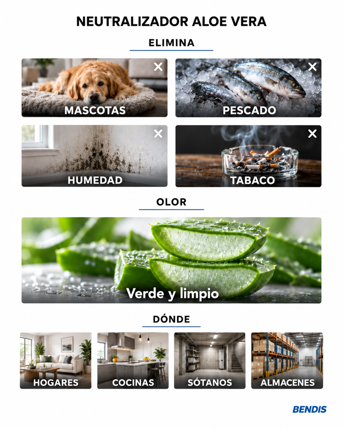 Neutralizador de olores BENDIS Aloe Vera: elimina olor a mascotas, pescado, humedad y tabaco y deja un fondo limpio, verde y discreto. Ideal para hogares con mascotas, cocinas, sótanos y almacenes.