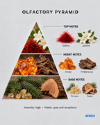 BENDIS No.22 sweet woody fragrance olfactory pyramid: top notes saffron and jasmine, heart notes amber and amberwood, base notes fir resin and cedar