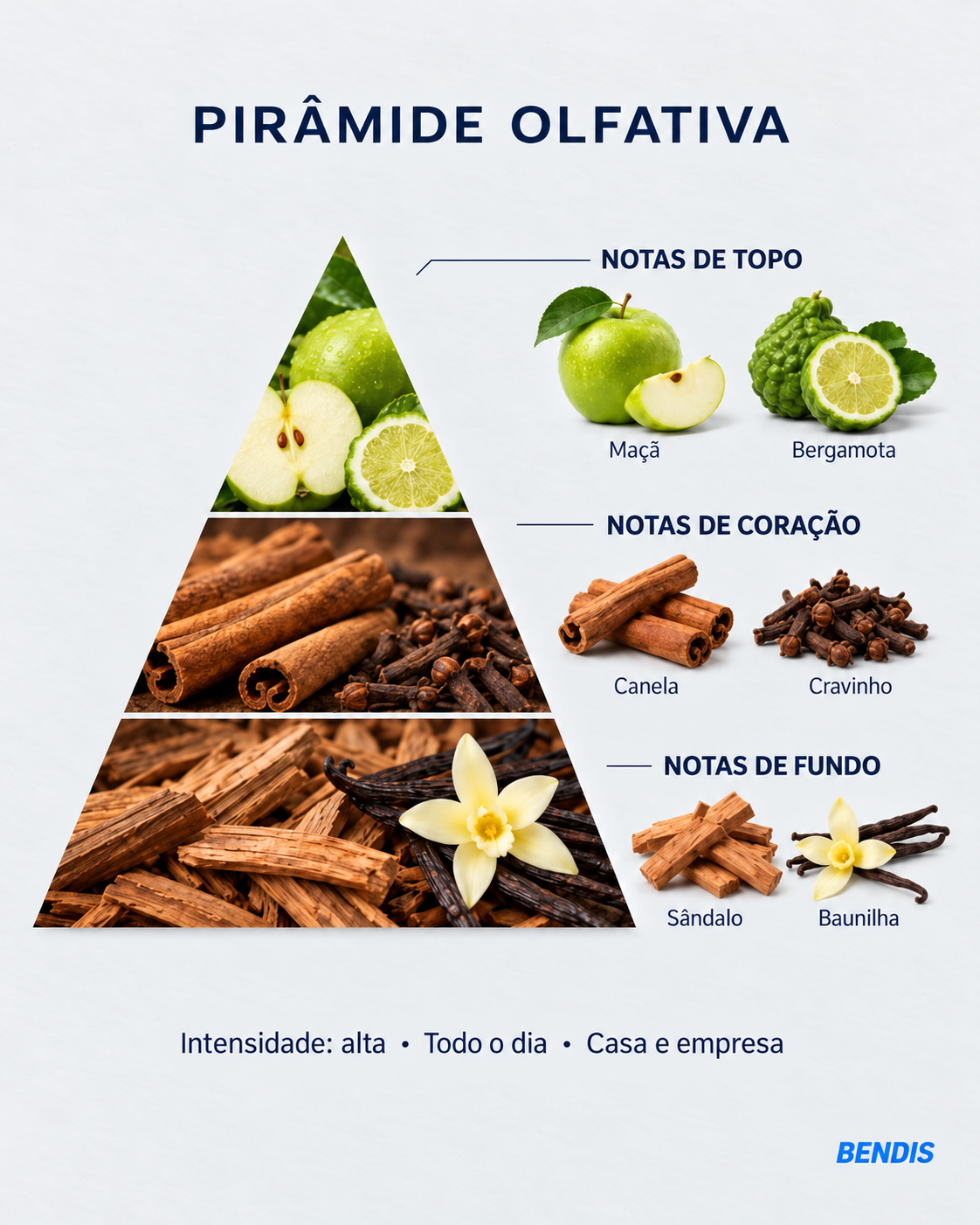 Pyramide olfactive du parfum BENDIS Nº4 boisé épicé : notes de tête pomme et bergamote, notes de cœur cannelle et clou de girofle, notes de fond santal et vanille