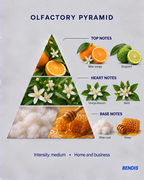 BENDIS Orange Blossom fragrance olfactory pyramid: top notes bitter orange and bergamot, heart notes orange blossom and neroli, base notes white musk and honey