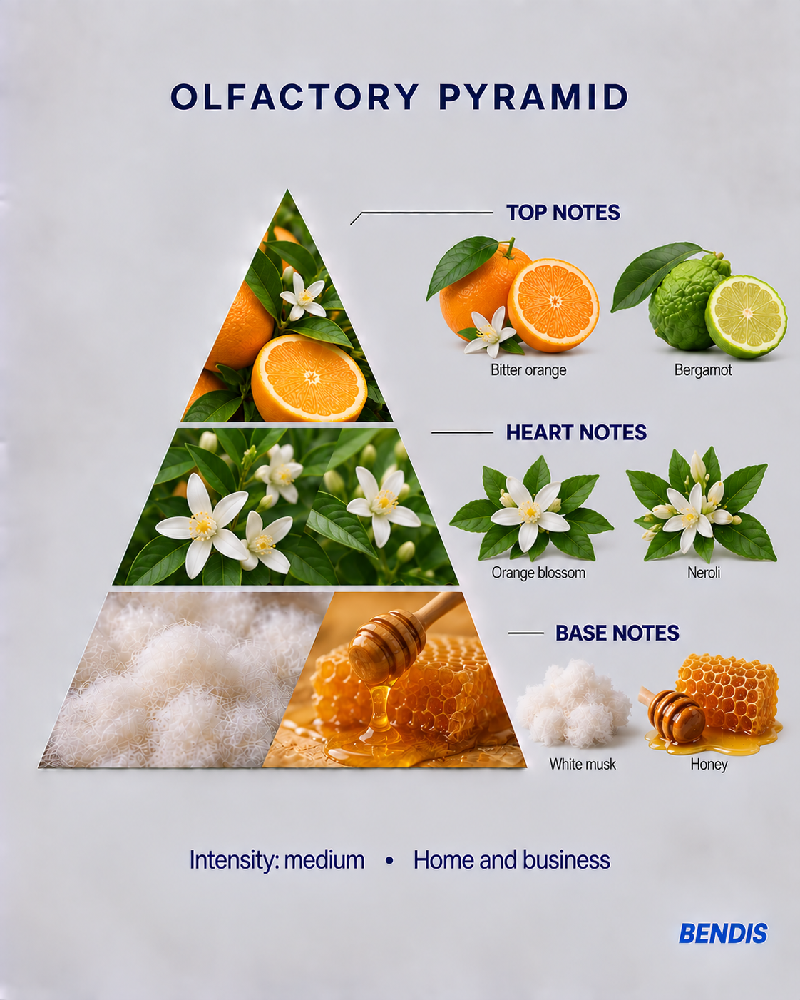 BENDIS Orange Blossom fragrance olfactory pyramid: top notes bitter orange and bergamot, heart notes orange blossom and neroli, base notes white musk and honey