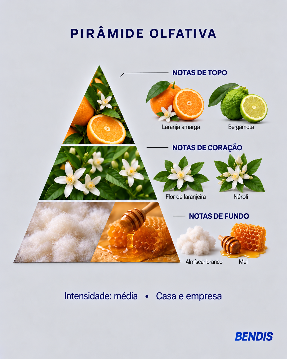 Pyramide olfactive du parfum BENDIS Fleur d'oranger : notes de tête orange amère et bergamote, notes de cœur fleur d'oranger et néroli, notes de fond musc blanc et miel