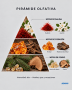 REFILL FRAGANCIA · N°22 Baccarat Rouge Inspired | Dulce · Amaderada - BENDIS