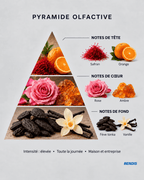 REFILL FRAGANCIA · N°23 Arabian Tonka Inspired | Dulce · Oriental · Intensa - BENDIS