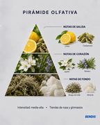 REFILL FRAGANCIA · N°6 Abercrombie Fierce | Aromática · Amaderada - BENDIS