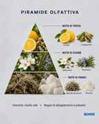 REFILL FRAGANCIA · N°6 Abercrombie Fierce | Aromática · Amaderada - BENDIS