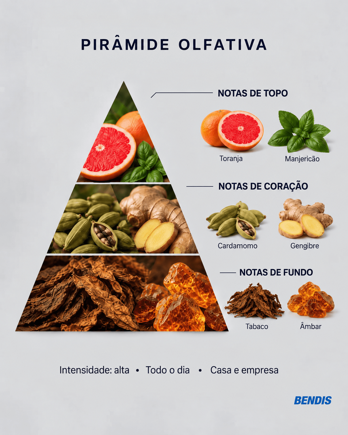 REFILL FRAGANCIA · N°7 D&G The One | Amaderada · Especiada · Fresca - BENDIS