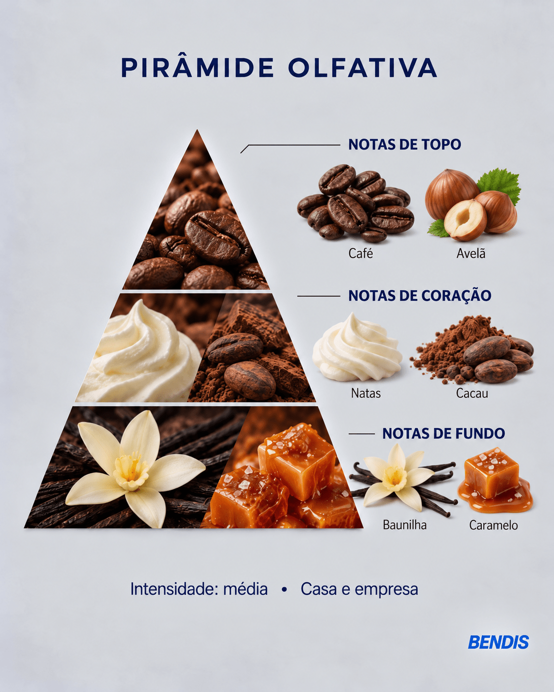 Olfactory pyramid of the BENDIS Cappuccino fragrance: top notes coffee and hazelnut, heart notes cream and cocoa, base notes vanilla and caramel