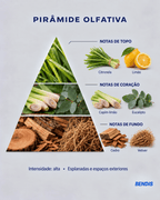 REFILL NATURAL · Citronela - BENDIS