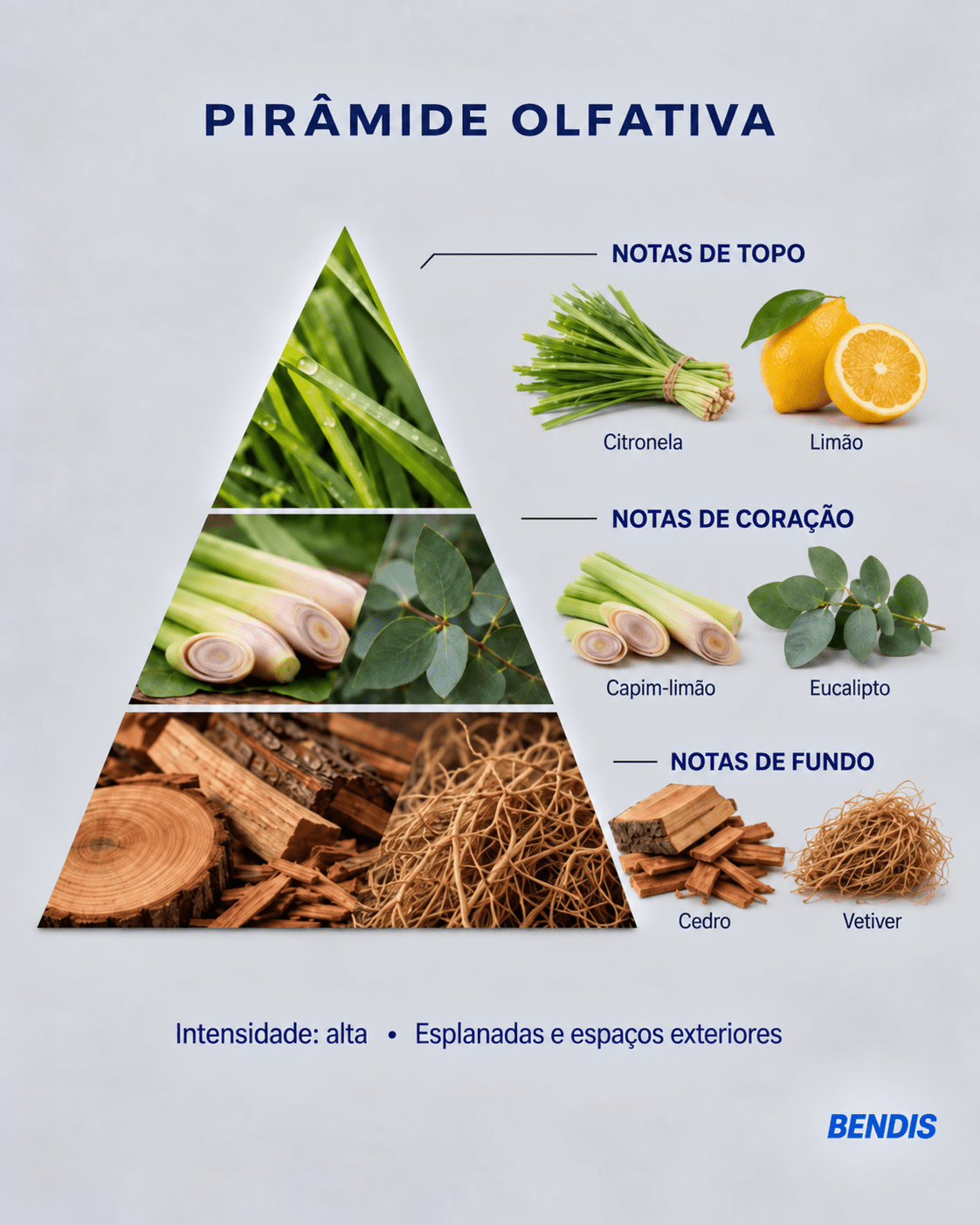 REFILL NATURAL · Citronela - BENDIS