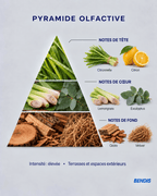 REFILL NATURAL · Citronela - BENDIS