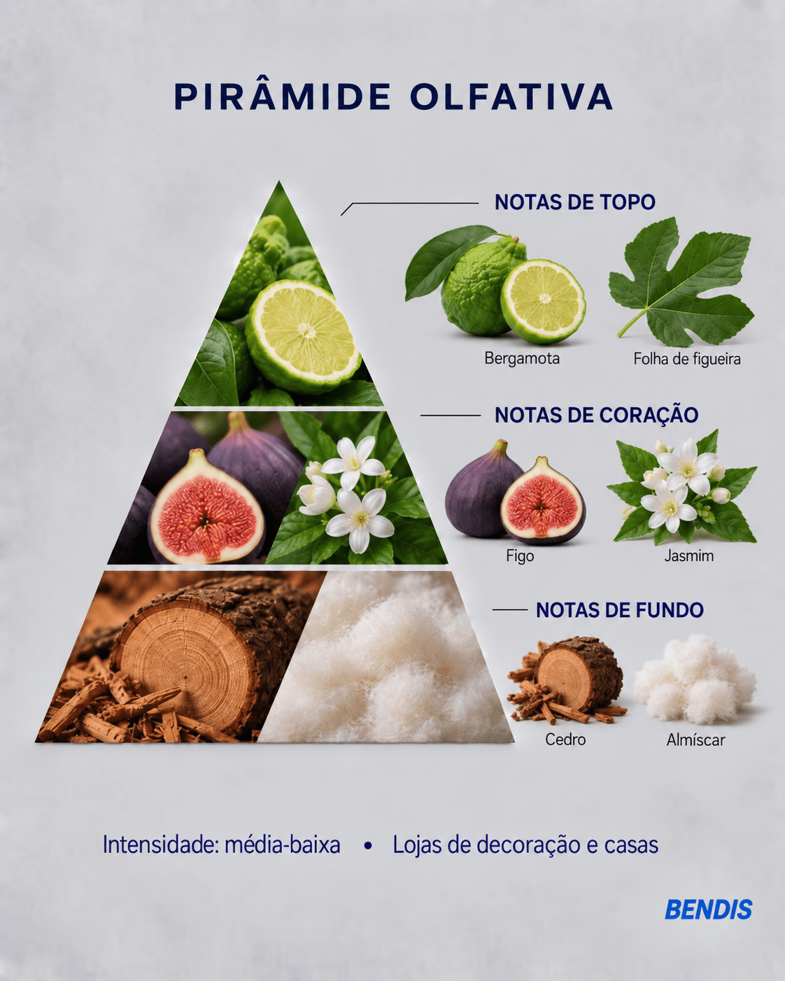REFILL NATURAL · Higo - BENDIS