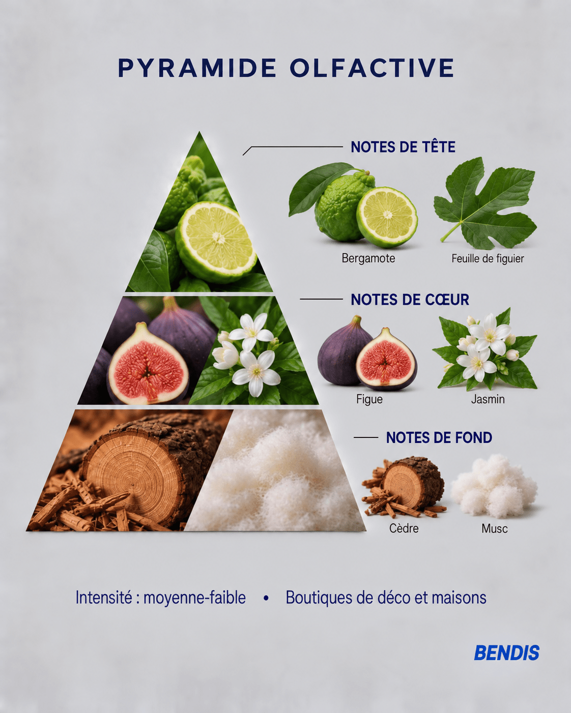 REFILL NATURAL · Higo - BENDIS