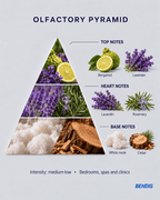 REFILL NATURAL · Lavanda - BENDIS