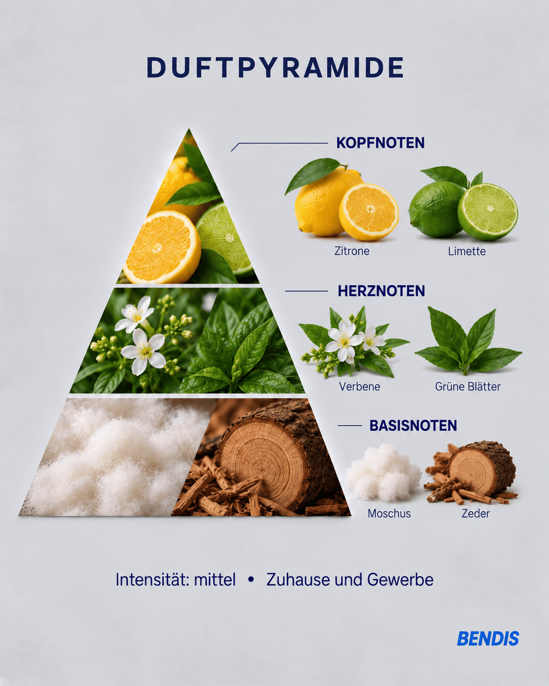 Olfactory pyramid of the BENDIS Lemon fragrance: top notes lemon and lime, heart notes verbena and green leaves, base notes musk and cedar