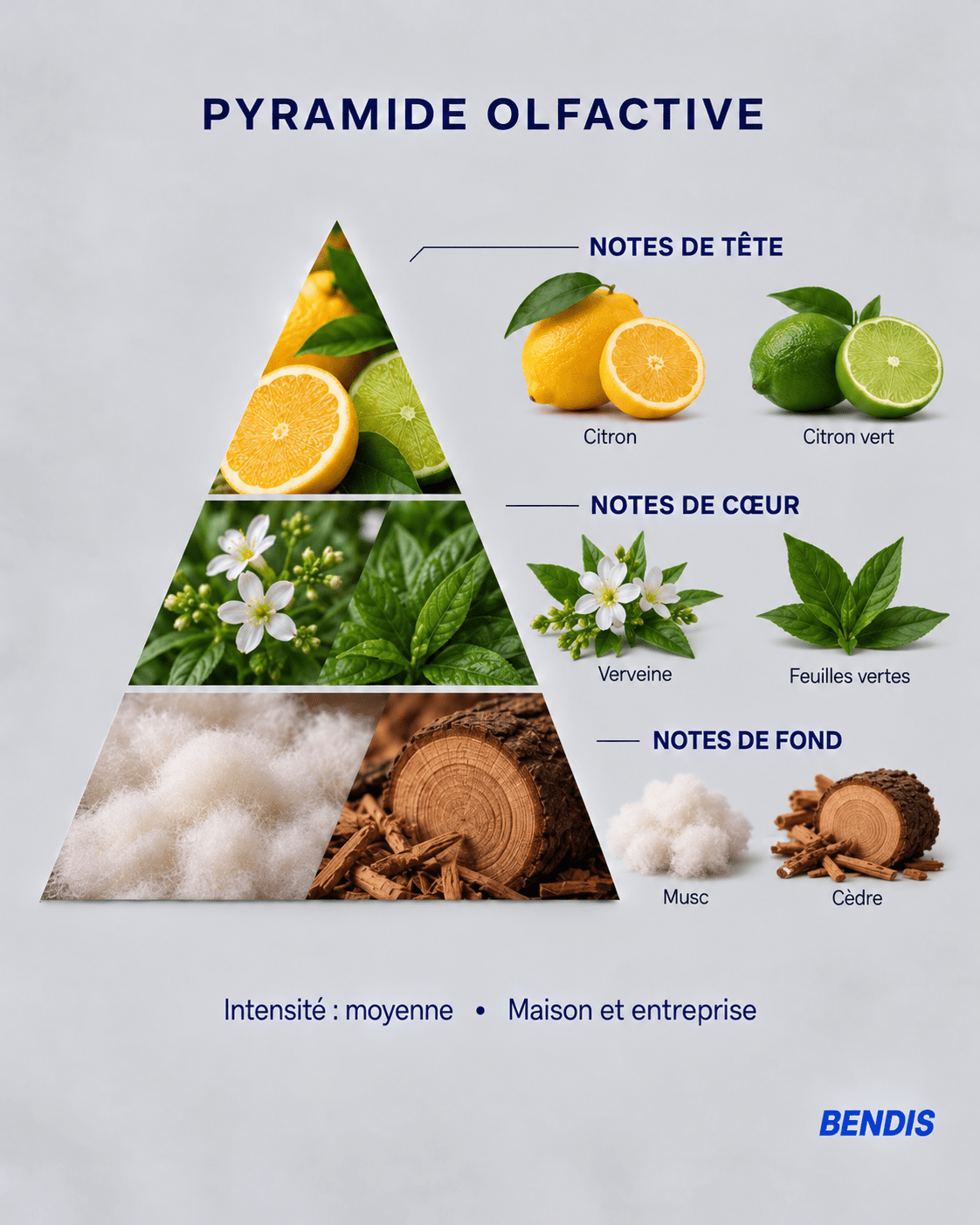 Olfactory pyramid of the BENDIS Lemon fragrance: top notes lemon and lime, heart notes verbena and green leaves, base notes musk and cedar