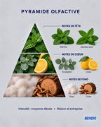 REFILL NATURAL · Menta - BENDIS