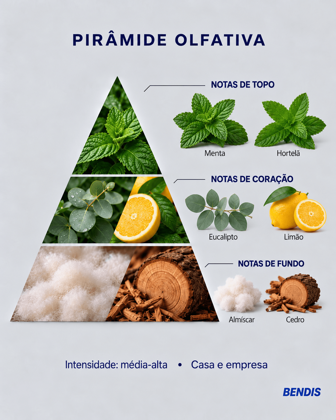 REFILL NATURAL · Menta - BENDIS